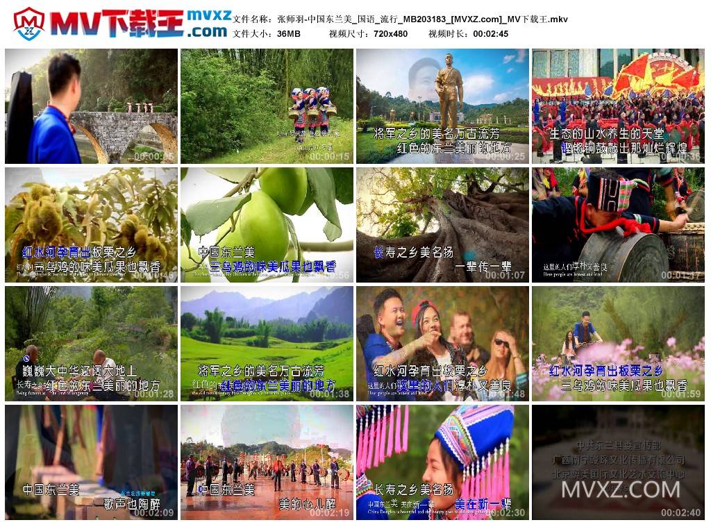 张师羽-中国东兰美_国语_流行_MB203183